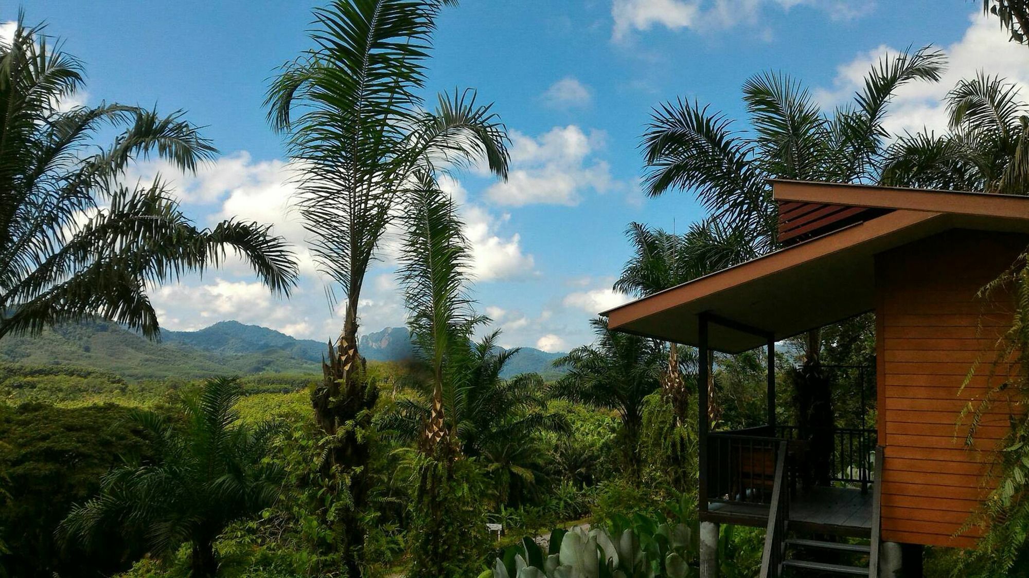 Khao Sok Horizon Hotel Phanom Kültér fotó